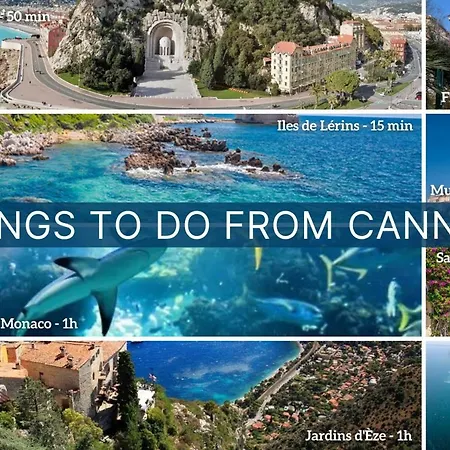 شقة Center La Croisette Splendid 2 Bedroom In Premium Gardens And Balcony By Olam كان